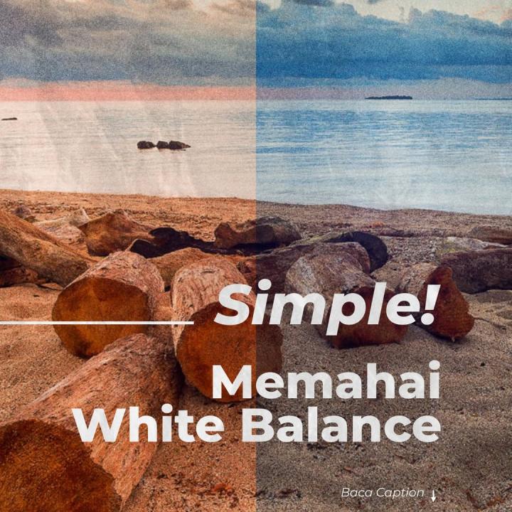 Memahami White Balance dalam Fotografi: Panduan Lengkap untuk Hasil Foto yang Natural